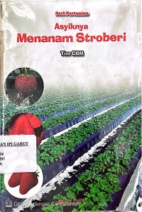 Asyiknya Menanam Stroberi