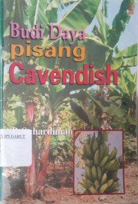 Image of Budidaya Pisang Cavendish