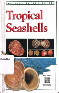 Tropical Seashells